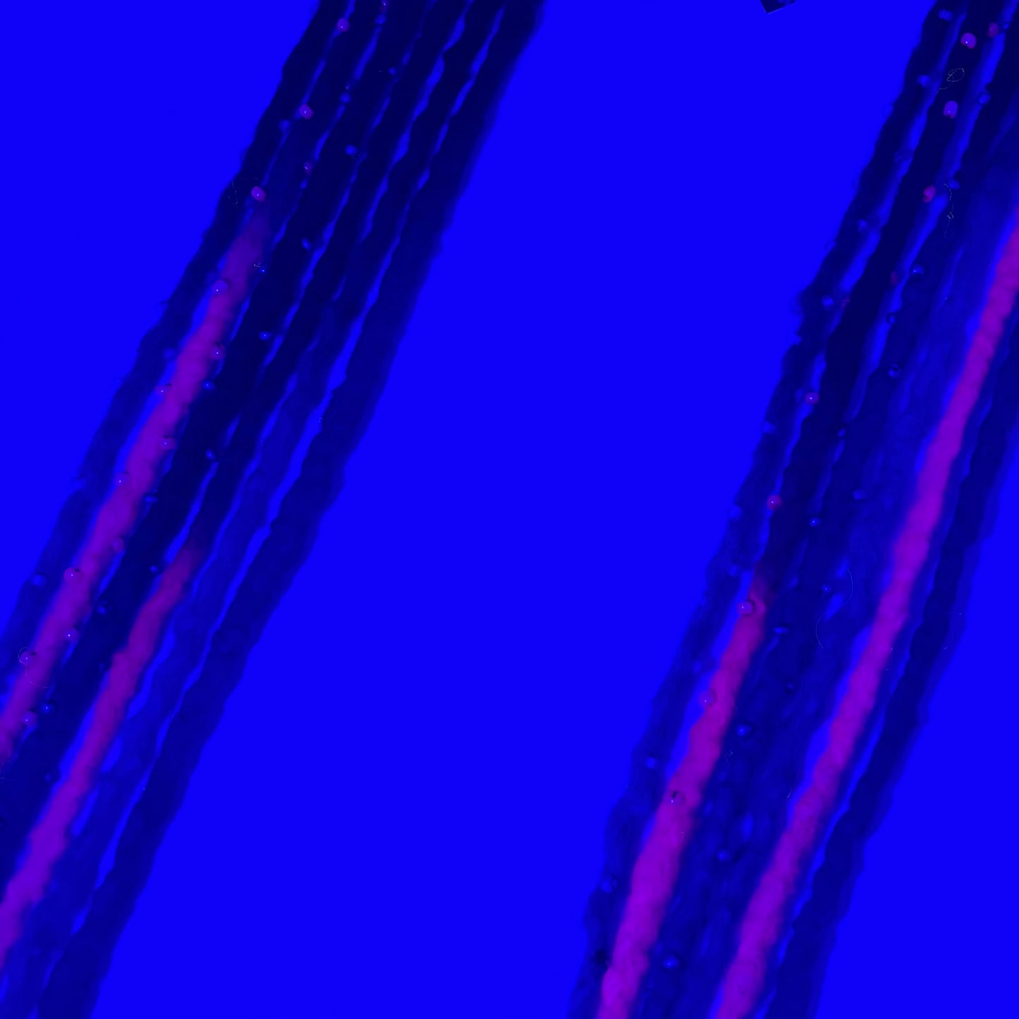 Halloween Night - Bubble Locs - Girl On The Moon Dreadlocks