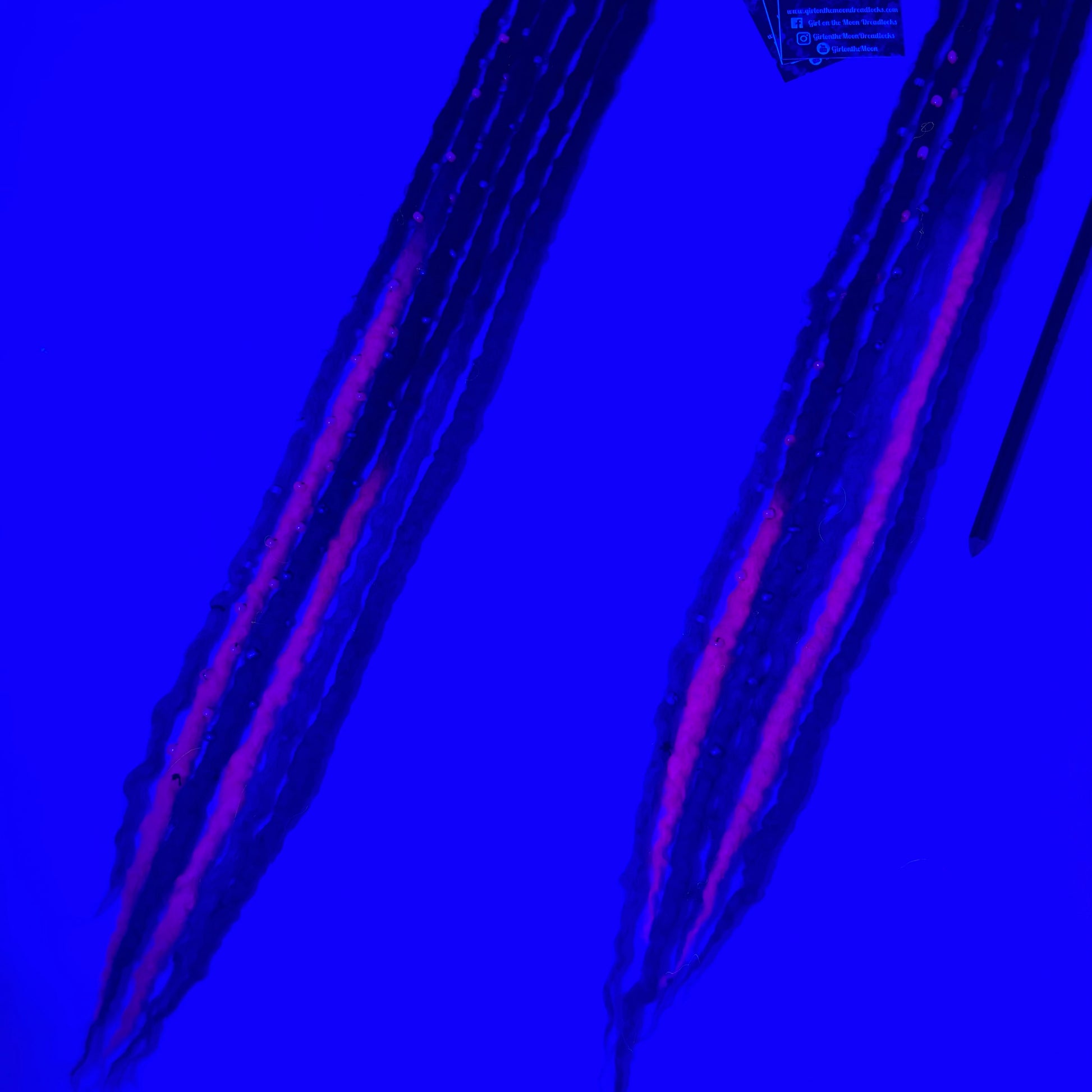 Halloween Night - Bubble Locs - Girl On The Moon Dreadlocks